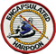 Encapsulated_Harpoon_cut_out